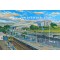 Amex Stadium 'Going to the Match' Fine Art Print - Brighton & Hove Albion FC